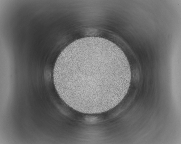 X0000111130602200908111040