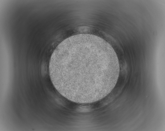 X0000111130606200908111040