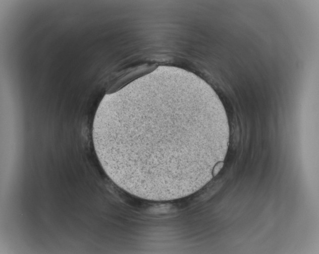X0000111130609200908111040