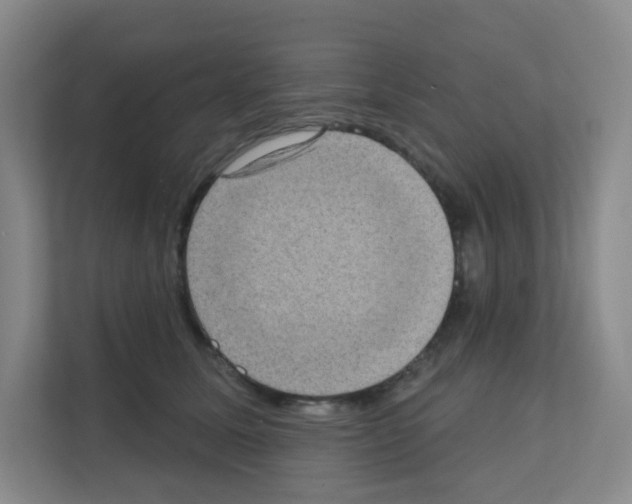 X0000111130611200908111040