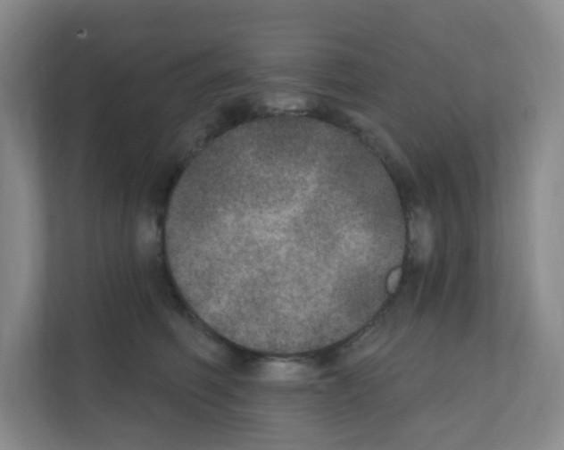 X0000111130614200908111040