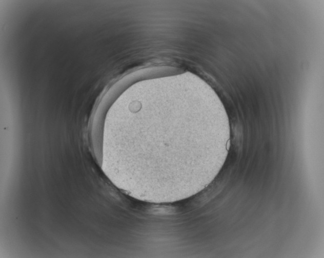 X0000111130617200908111040