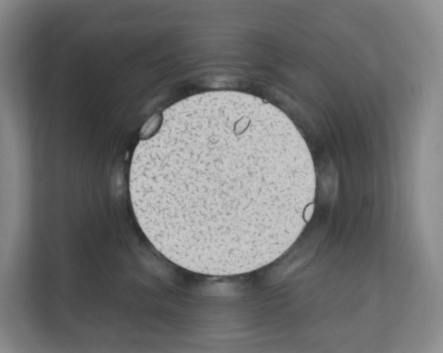 X0000111130620200908111040