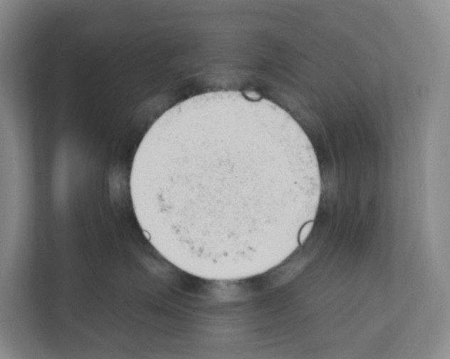 X0000111130623200908111040