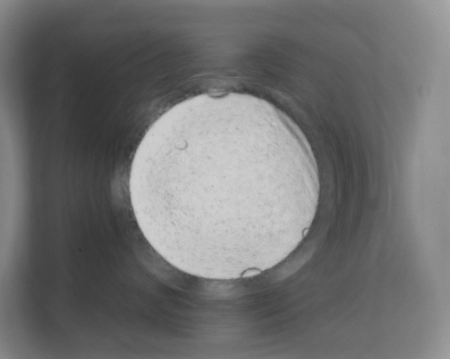 X0000111130624200908111040