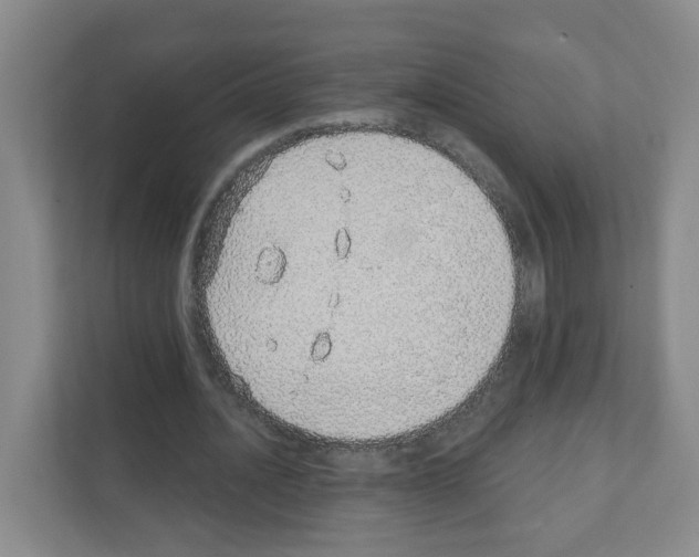 X0000111130628200908111039