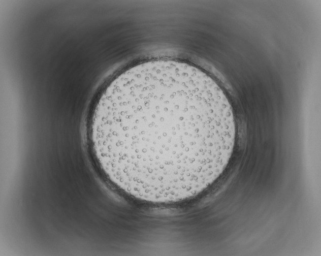 X0000111130629200908111039