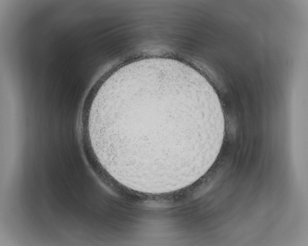 X0000111130630200908111039