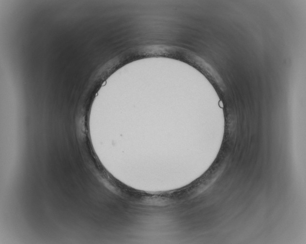 X0000111130633200908111039