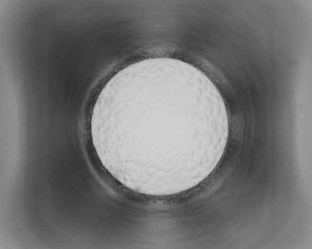 X0000111130634200908111039