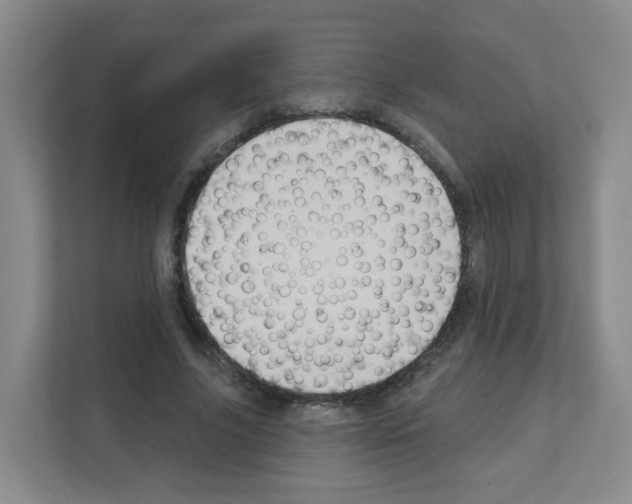 X0000111130635200908111039