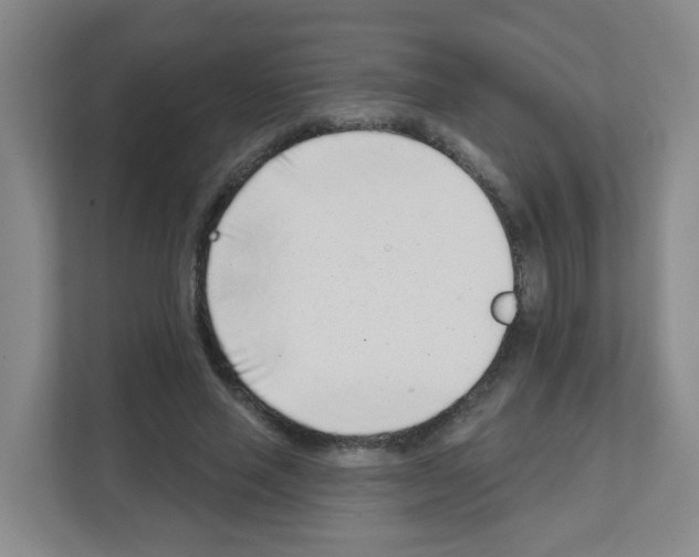 X0000111130637200908111040