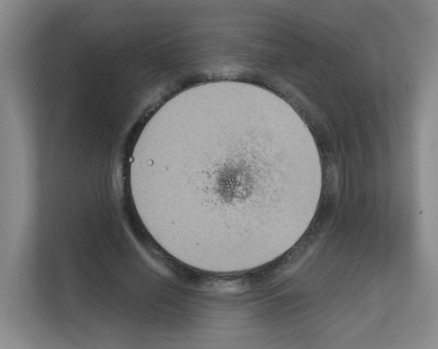 X0000111130638200908111040