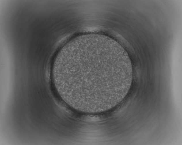 X0000111130640200908111040
