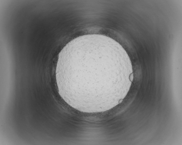 X0000111130641200908111040