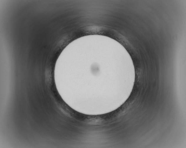 X0000111130642200908111040
