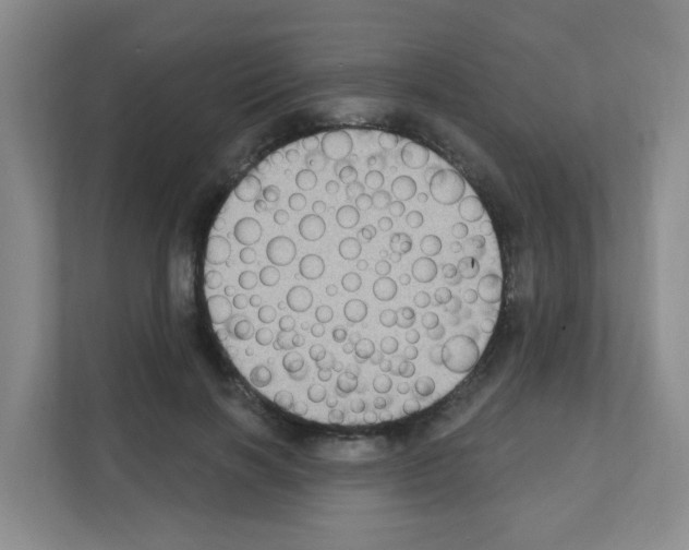 X0000111130646200908111040