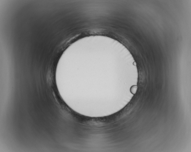 X0000111130648200908111040