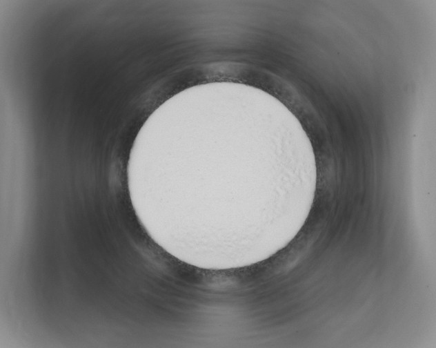 X0000111130649200908111040