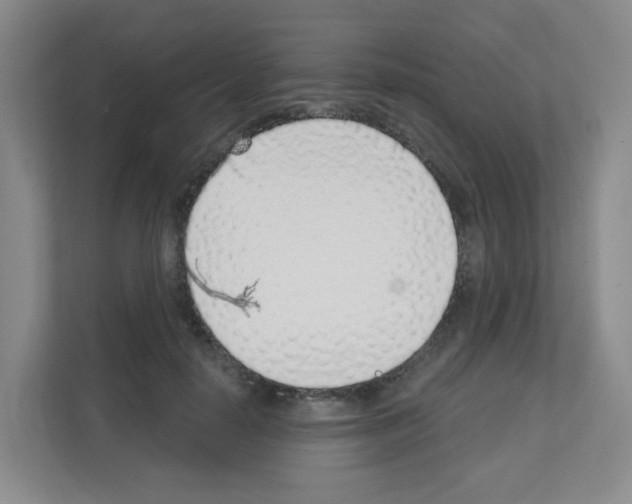 X0000111130650200908111040