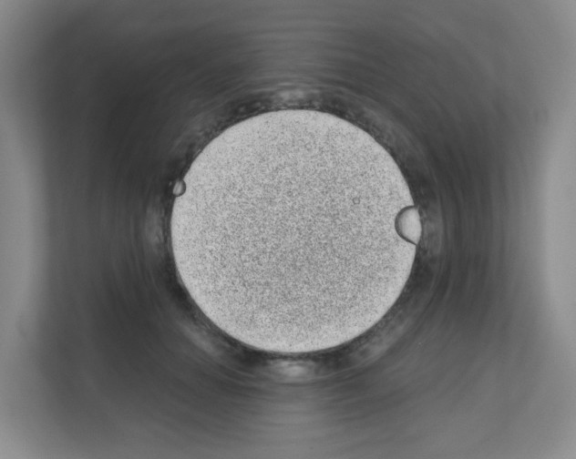 X0000111130654200908111040