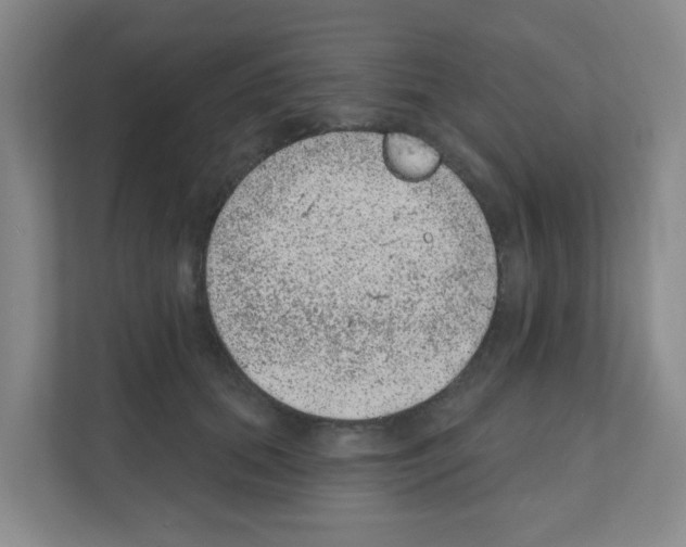 X0000111130655200908111040