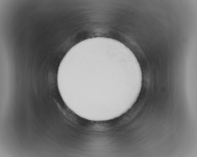 X0000111130657200908111040