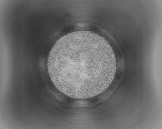 X0000111130659200908111040