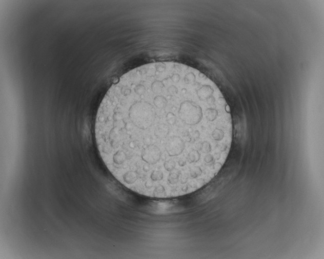 X0000111130662200908111040