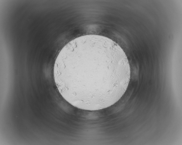 X0000111130663200908111040
