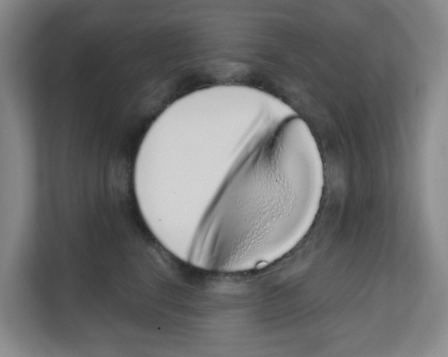 X0000111130664200908111040