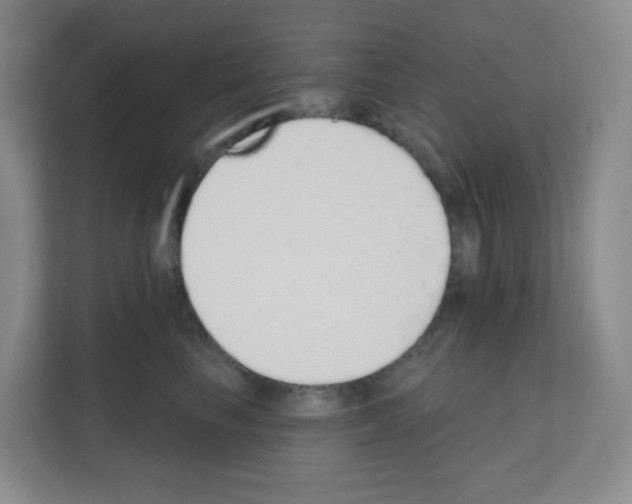 X0000111130665200908111040