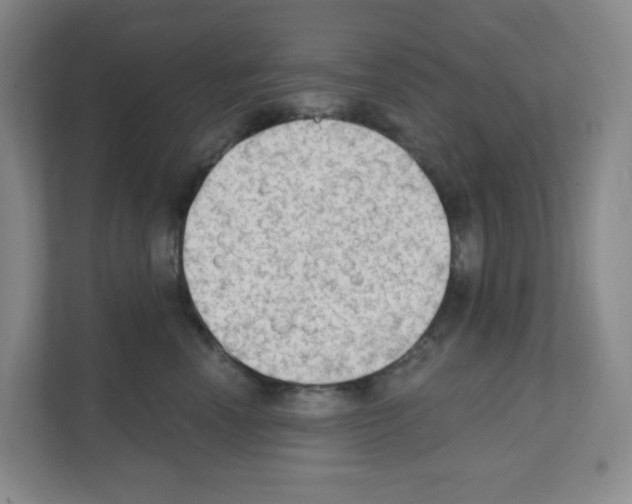 X0000111130666200908111040