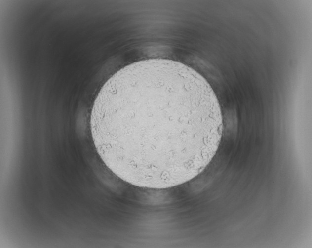 X0000111130667200908111040