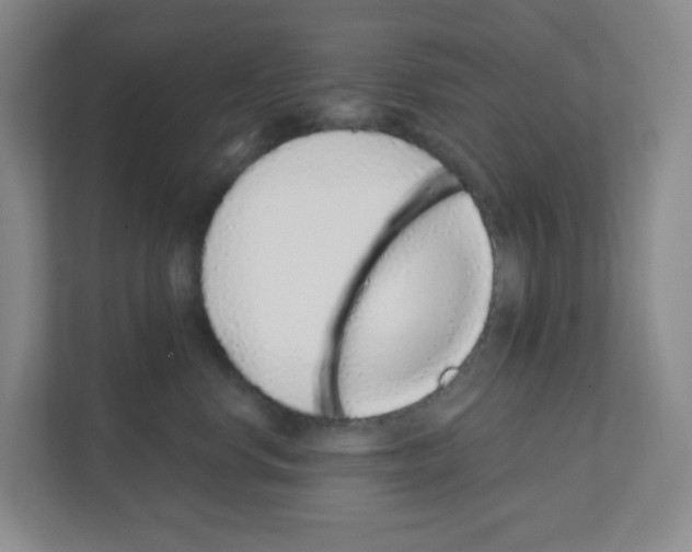 X0000111130668200908111040