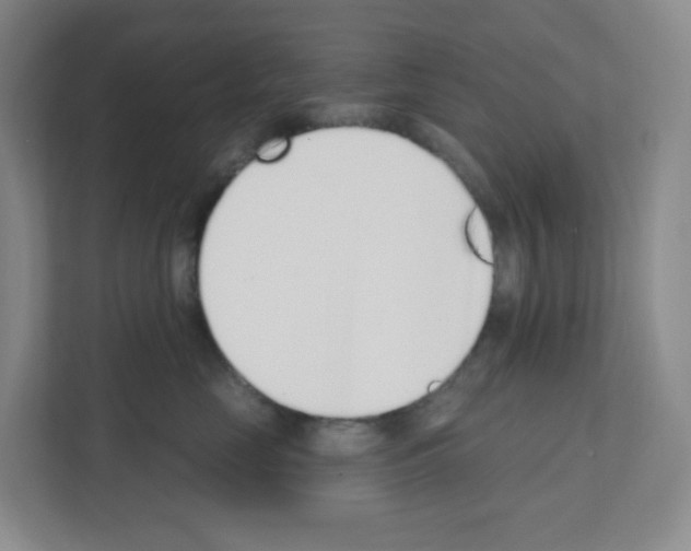 X0000111130669200908111040