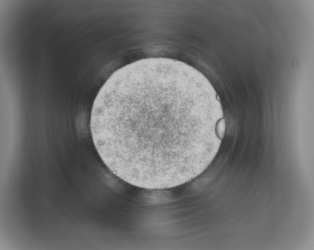 X0000111130670200908111040