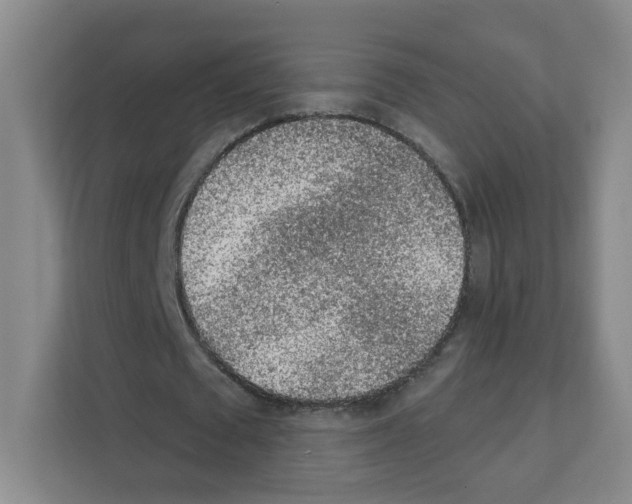 X0000111130673200908111039