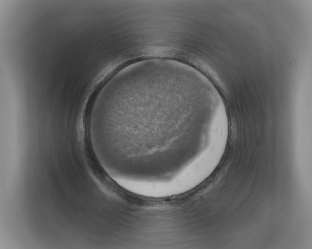 X0000111130674200908111039