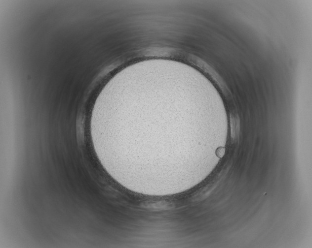 X0000111130675200908111039