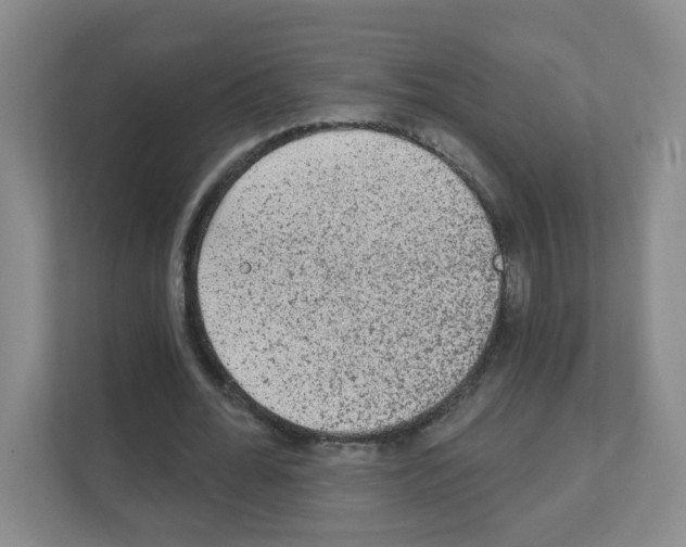 X0000111130676200908111039