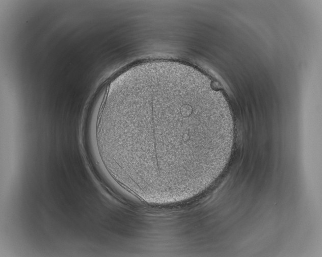 X0000111130677200908111039