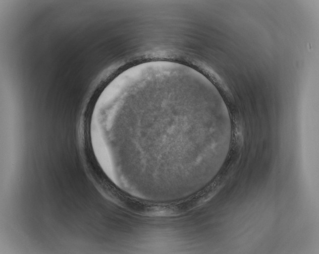 X0000111130678200908111039