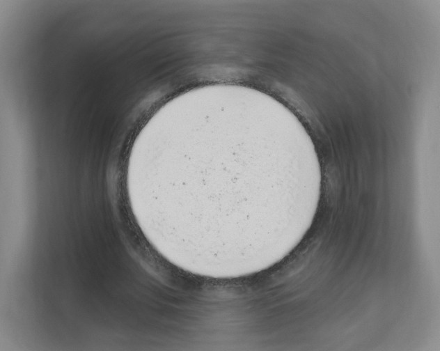 X0000111130679200908111039