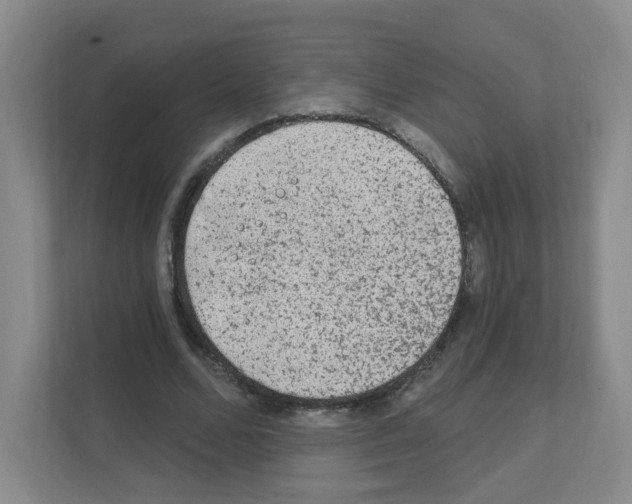 X0000111130680200908111039