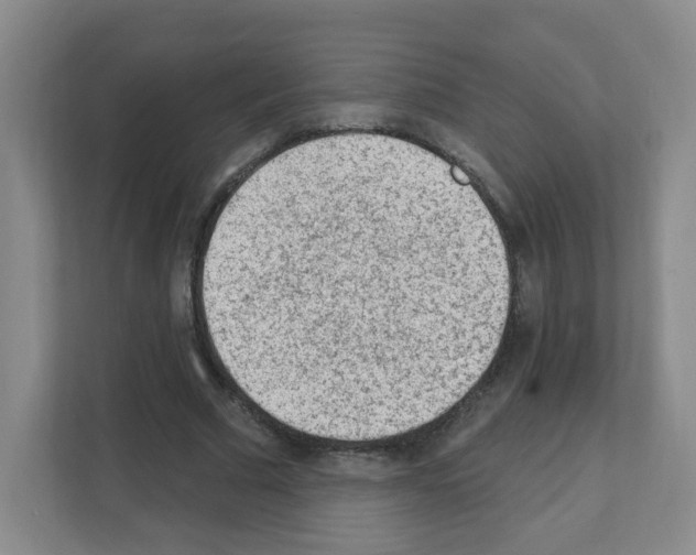 X0000111130681200908111039