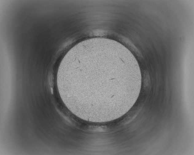 X0000111130683200908111039
