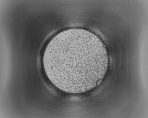 X0000111130684200908111039