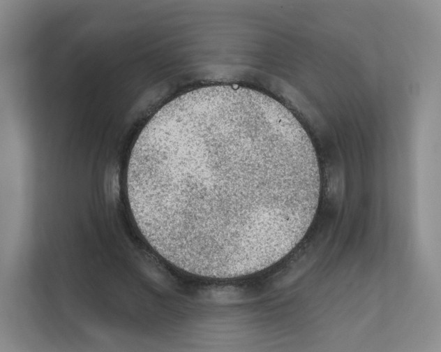 X0000111130685200908111039