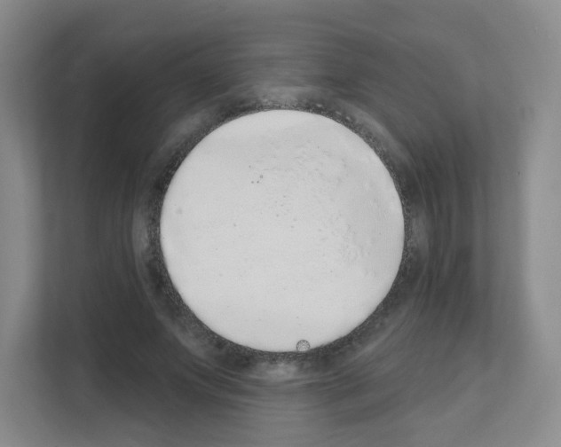 X0000111130687200908111039